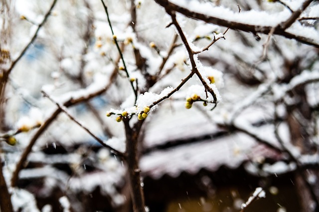 节奏控制